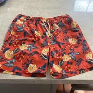 Fair harbor boys swimsuit